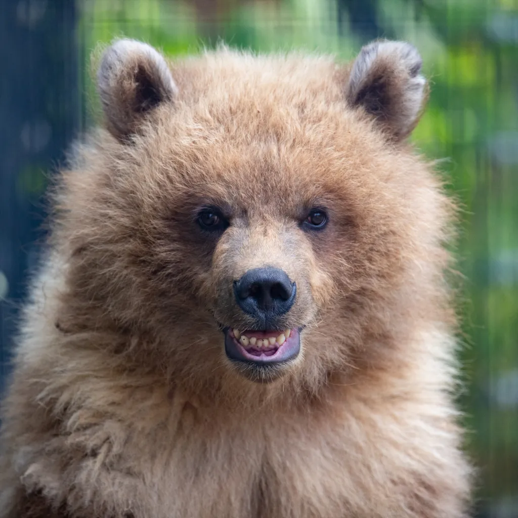Profile picture of behr