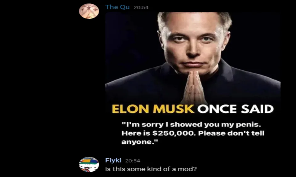 Small banner for mod Elon Musk Penis Flash 2000