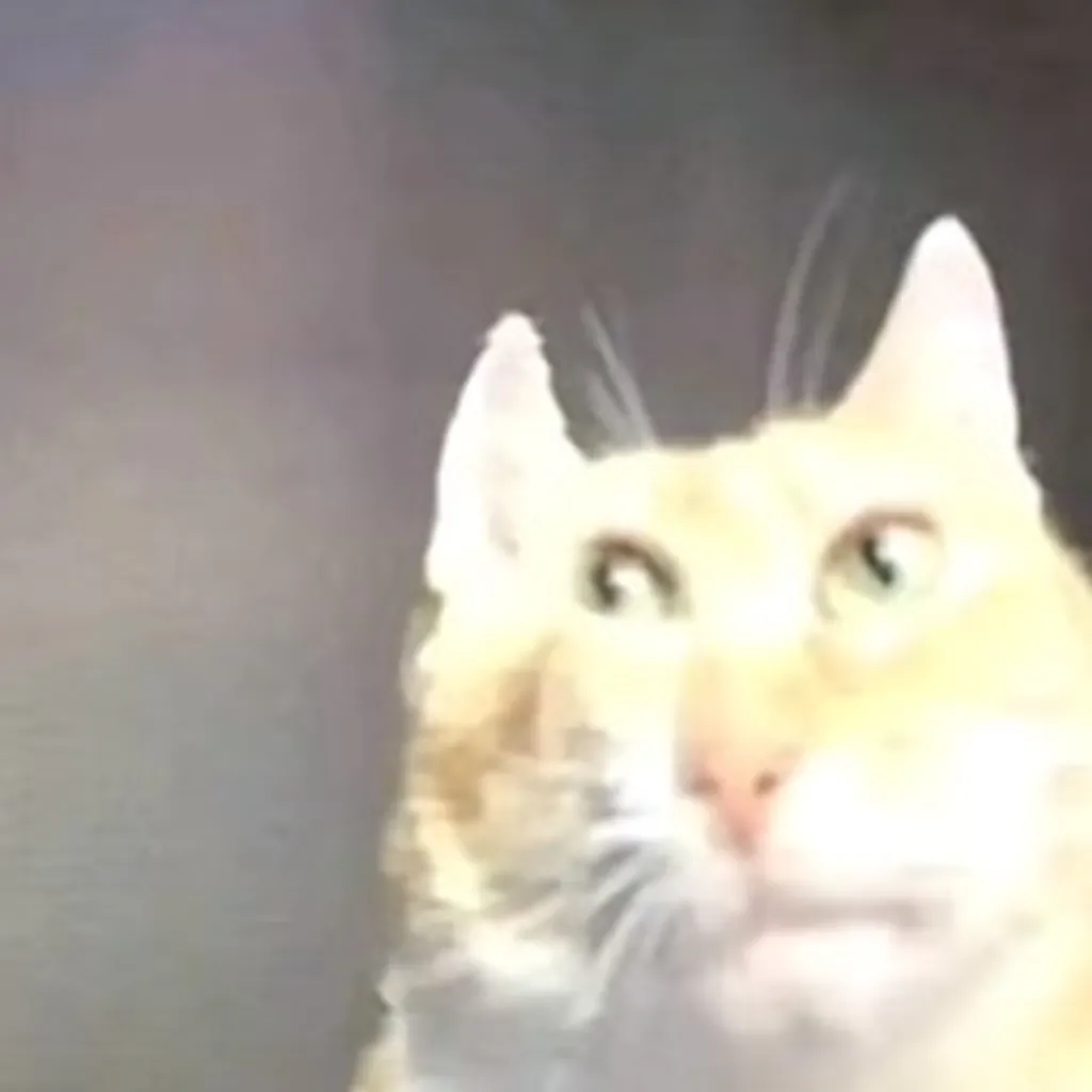 Profile picture of elfow___