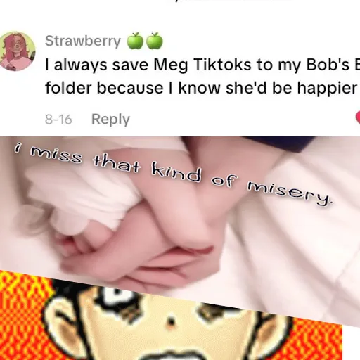 Icon for mod Sunny listens to misery and commitss suicide