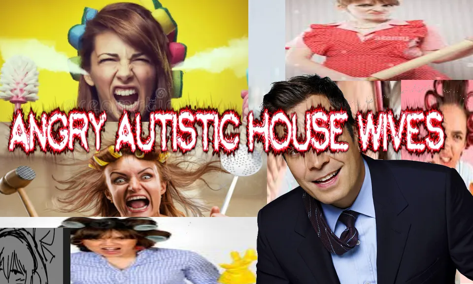Small banner for mod Angry Autistic HouseWives