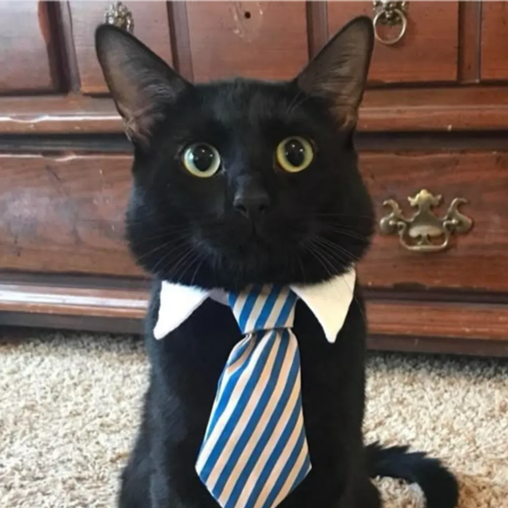 Profile picture of ggabey14