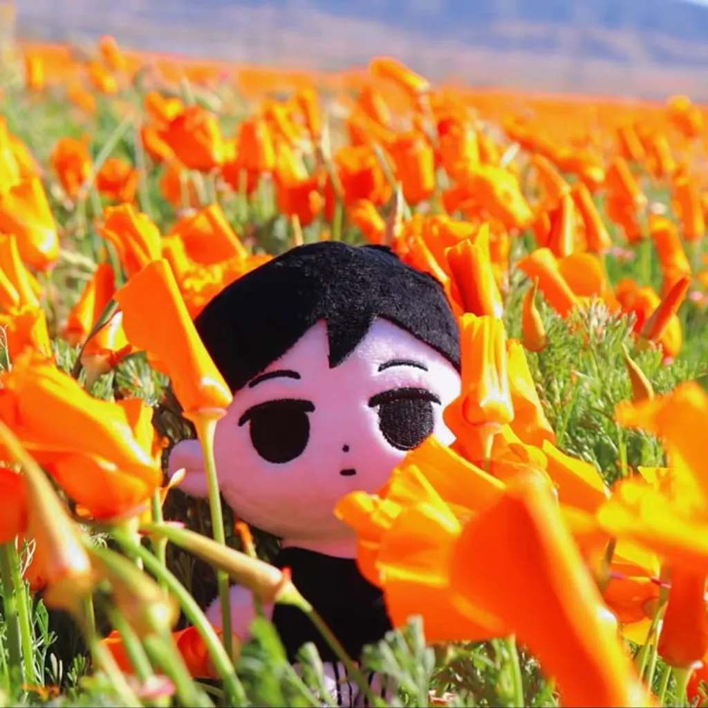 Profile picture of ecuet